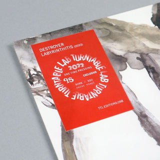 Destroyer: Labyrinthitis (Colored Vinyl) Vinyl LP - Turntable Lab Exclusive