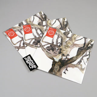 Destroyer: Labyrinthitis (Colored Vinyl) Vinyl LP - Turntable Lab Exclusive