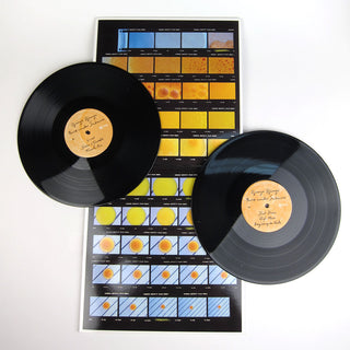 Django Django: Born Under Saturn Vinyl 2LP