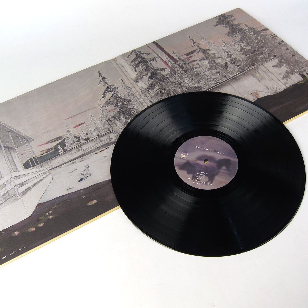 Electrelane: The Power Out Vinyl 2LP — TurntableLab.com