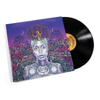 Erykah Badu: New Amerykah, Part Two: Return Of The Ankh Vinyl 2LP