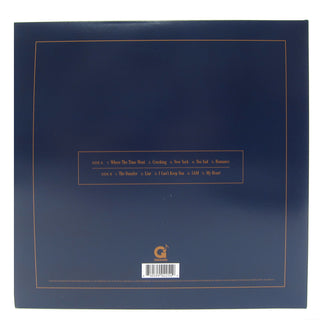 Ex-Re: Ex: Re (Daughter) Vinyl LP