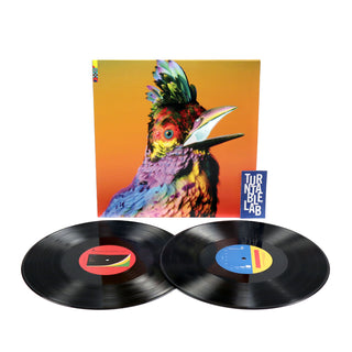 Flume: Palaces Vinyl 2LP