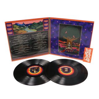 The Gaslamp Killer: Heart Math Vinyl 2x10"