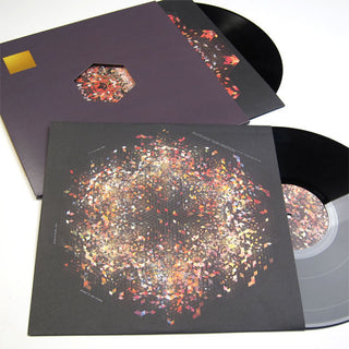 Gold Panda: Half of Where You Live (Free MP3) 2LP 2