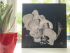Assorted Orchids: Assorted Orchids (Colored Vinyl) Vinyl LP