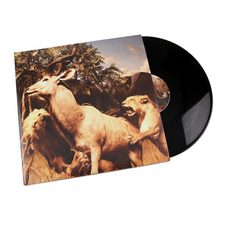 Interpol: Our Love To Admire Vinyl