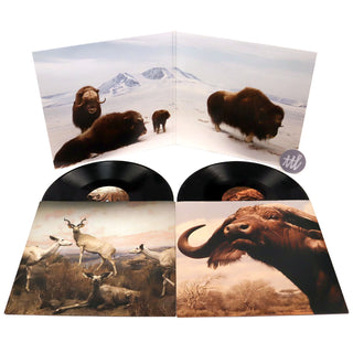 Interpol: Our Love To Admire Vinyl