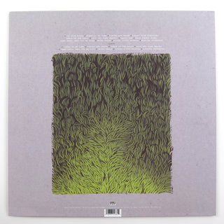 Iron And Wine: Our Endless Numbered Days Deluxe (Loser Edition Colored Vinyl) Vinyl 2LP