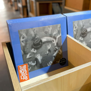 James Blake: Friends That Break Your Heart Vinyl LP