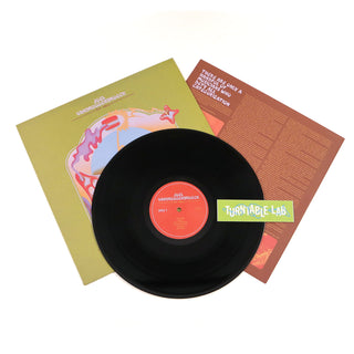 Joel Vandroogenbroeck: Fair View Vinyl LP