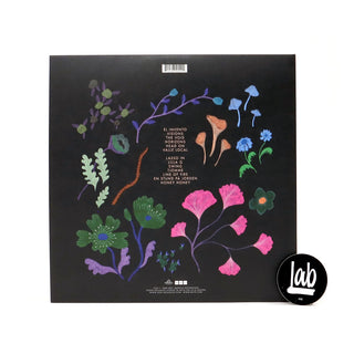 Jose Gonzalez: Local Valley (Indie Exclusive Colored Vinyl) Vinyl