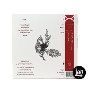 Kikagaku Moyo: House In The Tall Grass Vinyl LP