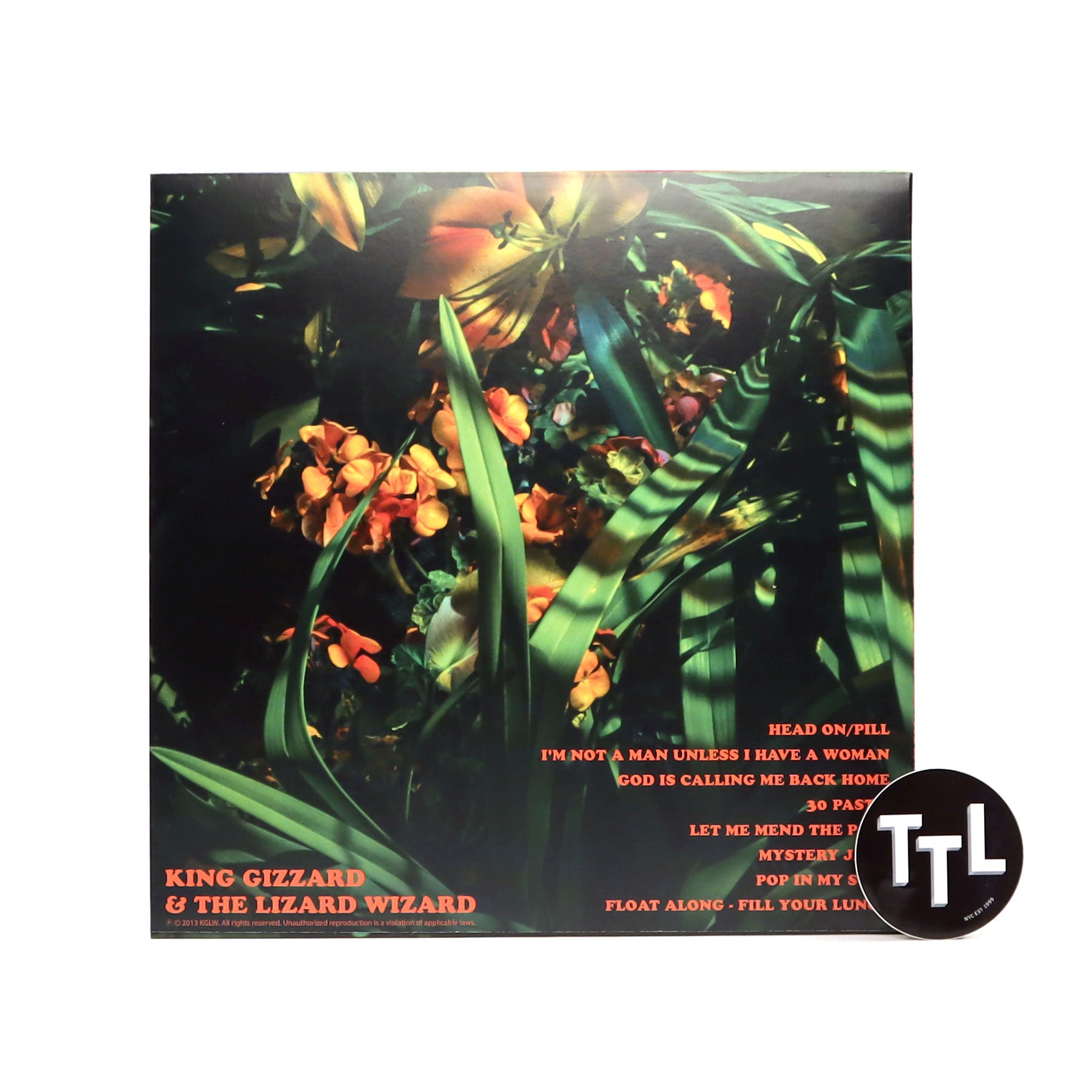 King Gizzard And the Lizard Wizard Float Along Fill Your Lungs (Ven