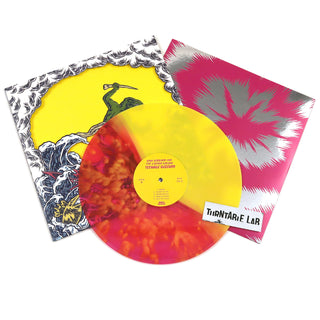 King Gizzard & The Wizard Lizard: Teenage Wizard (180g, Colored VInyl) 