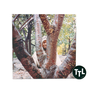 Laraaji: Segue To Infinity Vinyl 4LP+Book Boxset