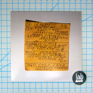 Mac DeMarco: Here Comes The Cowboy Demos Vinyl LP