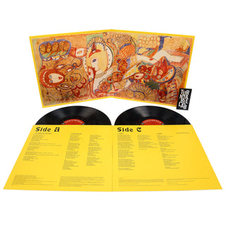 MGMT: Little Dark Age (180g) Vinyl 