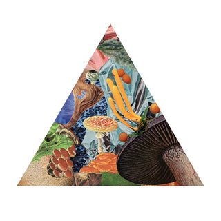 Modest Mouse: Poison The Well (Colored Vinyl) Vinyl 7" (Record Store Day)