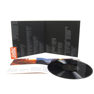 Mount Eerie: A Crow Looked At Me Vinyl 