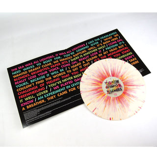 The New Pornographers: Brill Bruisers (Splatter Colored Vinyl, Free MP3) Vinyl LP detail