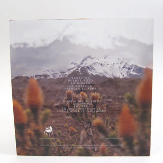 Nicola Cruz: Prender El Alma (Indie Exclusive Colored Vinyl) Vinyl LP+CD