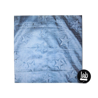 Neutral Milk Hotel: On Avery Island (Gatefold) Vinyl LP