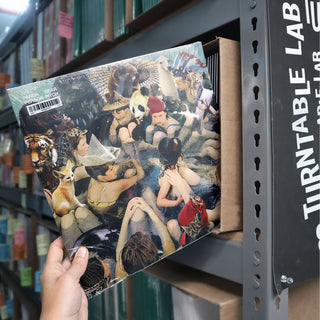 Panda Bear: Person Pitch Vinyl 2LP