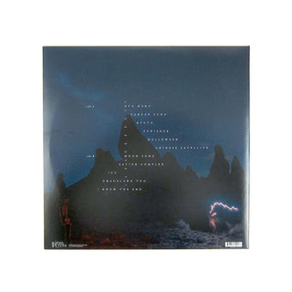 Phoebe Bridgers: Punisher Vinyl LP