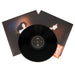 PJ Harvey: White Chalk Vinyl LP
