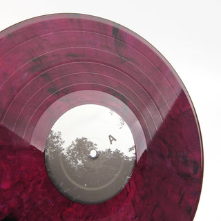 Planning For Burial: Below The House (Colored Vinyl) Vinyl LP