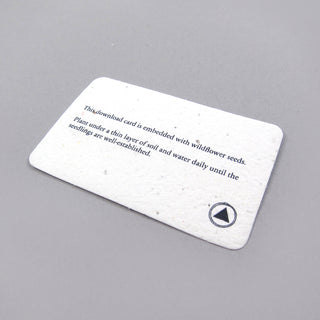 Mort Garson: Mother Earth's Plantasia (Chlorophyll Splatter Colored Vinyl) Vinyl LP - Turntable Lab Exclusive