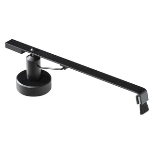 Pro-Ject: Sweep It E Turntable Record Broom - Black