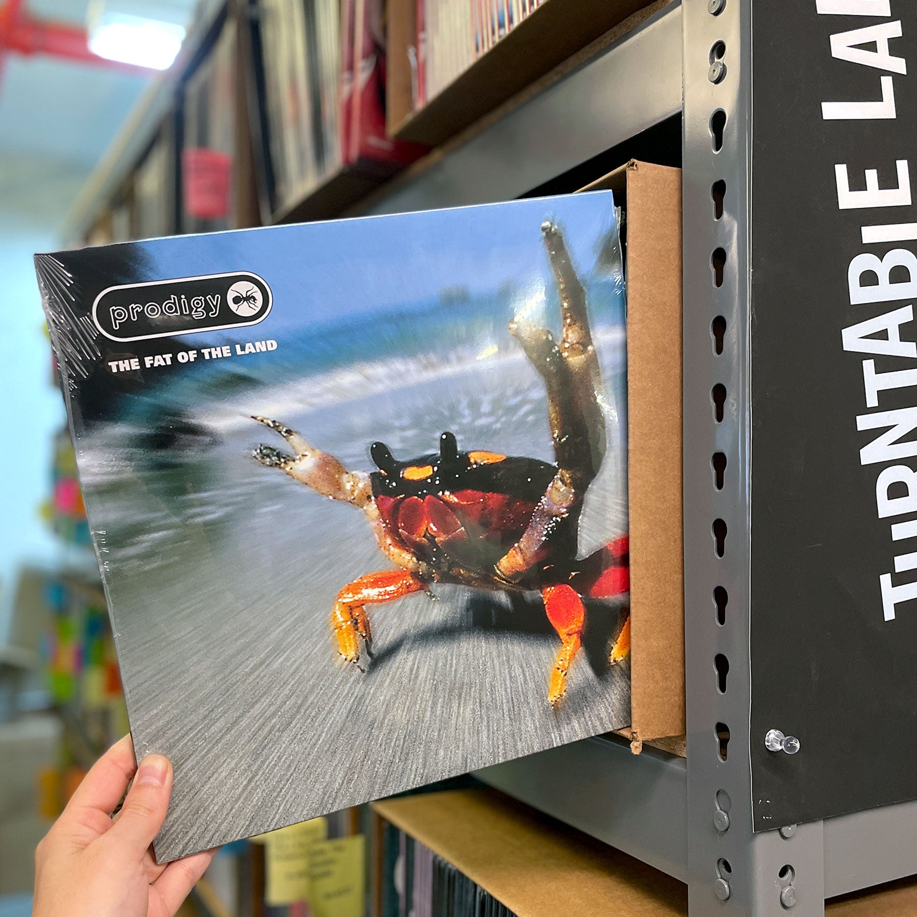 The Prodigy: The Fat Of The Land Vinyl 2LP – TurntableLab.com