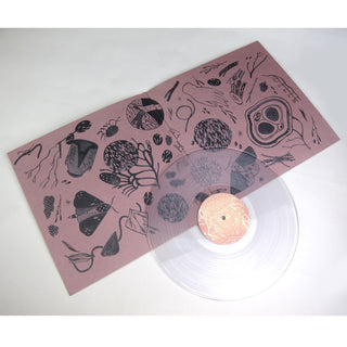 Purity Ring: Another Eternity (Clear Vinyl) Vinyl LP detail