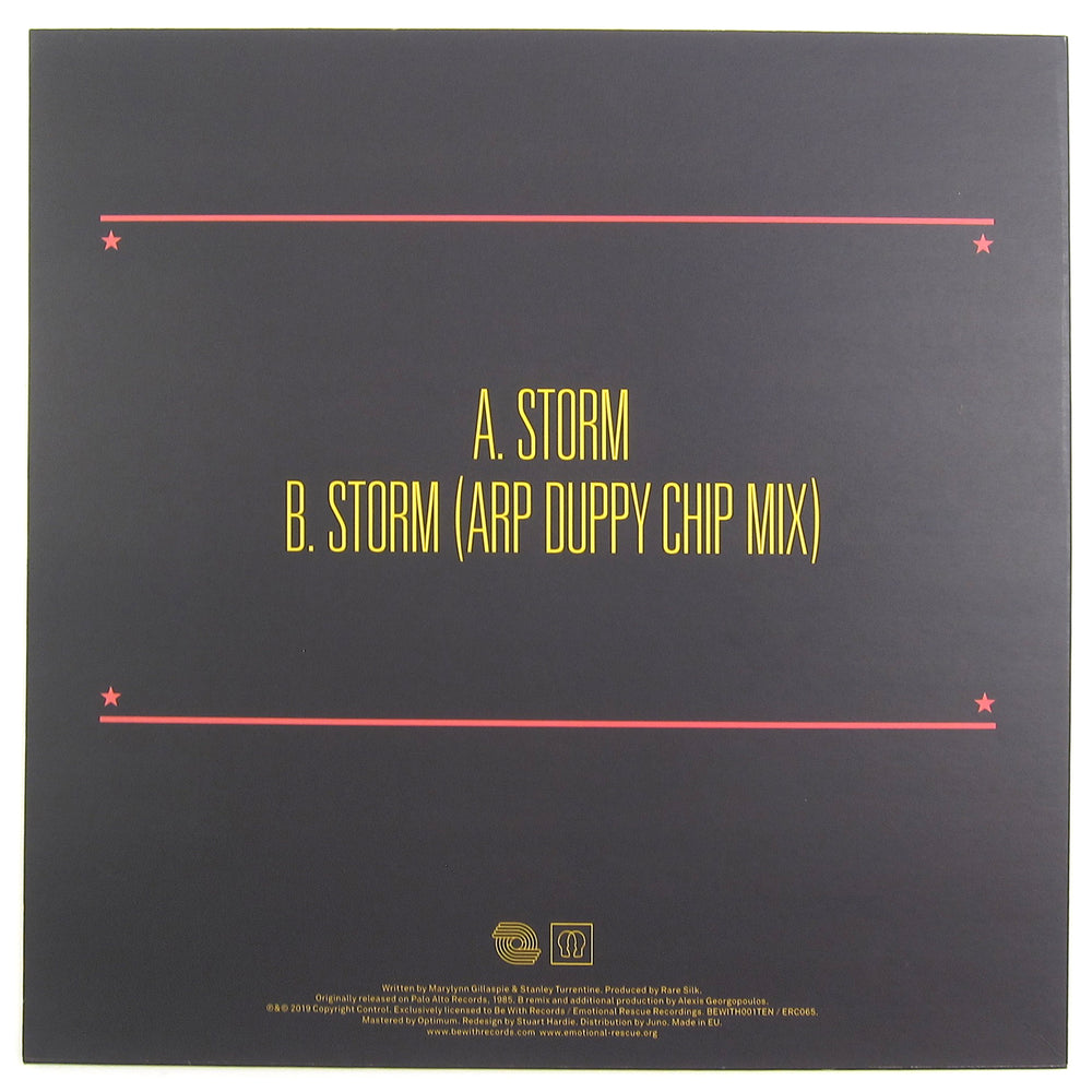 Rare Silk: Storm Vinyl 10"