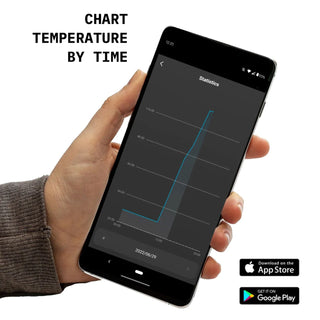Record Pi: Vinyl Record Flattener