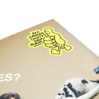 Rex Orange County: Who Cares? Vinyl LP