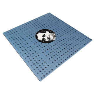 Roedelius: Remixes (Peaking Light, Hieroglyphic Being) Vinyl 12"