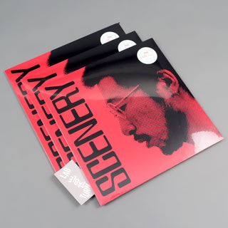 Ryo Fukui: Scenery (Colored Vinyl) Vinyl LP - Turntable Lab Exclusive