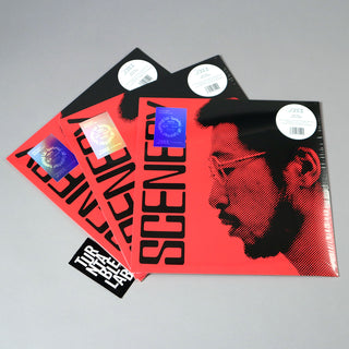 Ryo Fukui: Scenery (Transparent Colored Vinyl) Vinyl LP - Turntable Lab Exclusive