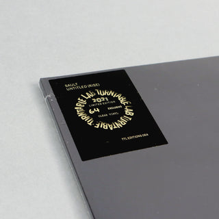 Sault: Untitled (Rise) (Colored Vinyl) Vinyl 2LP - Turntable Lab Exclusive