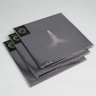 Sault: Untitled (Rise) (Colored Vinyl) Vinyl 2LP - Turntable Lab Exclusive