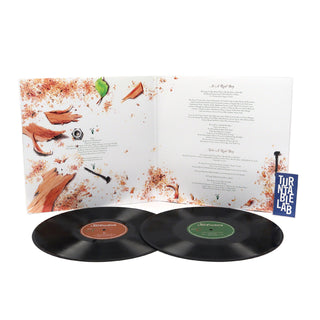 Say Anything: ...Is A Real Boy Vinyl 2LP