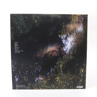 S. Carey: Hundred Acres (Colored Vinyl) Vinyl LP