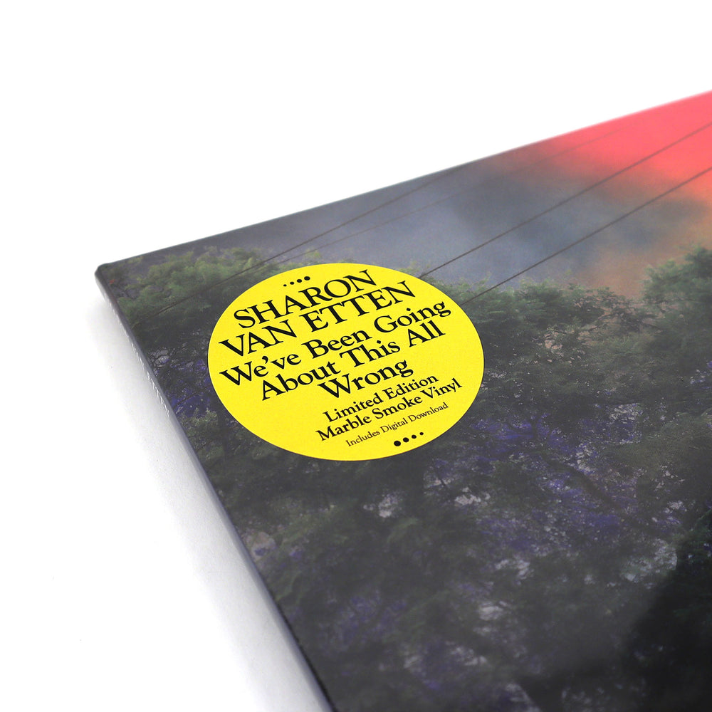 Sharon Van Etten: We've Been Going About This All Wrong (Colored Vinyl) Vinyl LP