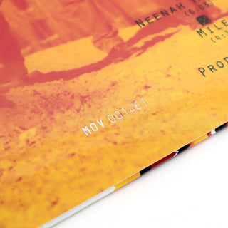 Sponge: Rotting Pinata (Music On Vinyl 180g, Colored Vinyl) Vinyl LP