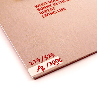 Steady Holiday: Take The Corners Gently (Colored Vinyl) Vinyl LP