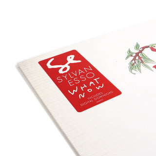 Sylvan Esso: What Now (Blue Smoke Colored Vinyl) Vinyl LP