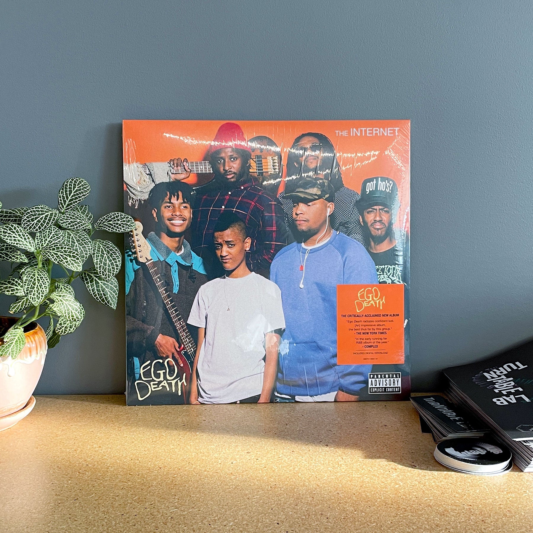 レコード　THE INTERNET EGO DEATH LP ジ・インターネット The Internet: Ego Death Vinyl 2LP – TurntableLab.com